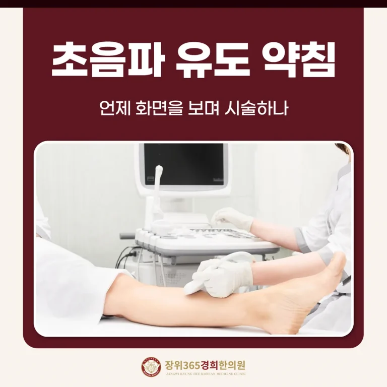 초음파 유도 약침, 언제 화면을 보며 시술하나