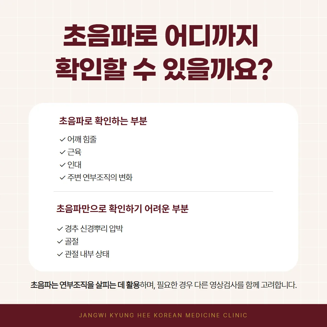 초음파로 확인되는 어깨와 팔의 연부조직 범위와 확인되지 않는 경추 신경뿌리 병변을 나눈 비교 도식