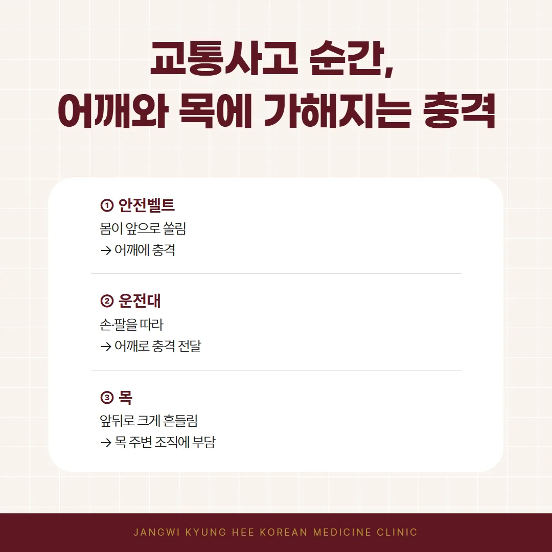 교통사고 순간 안전벨트와 운전대로 어깨에 전해지는 충격과 목 흔들림 개념도