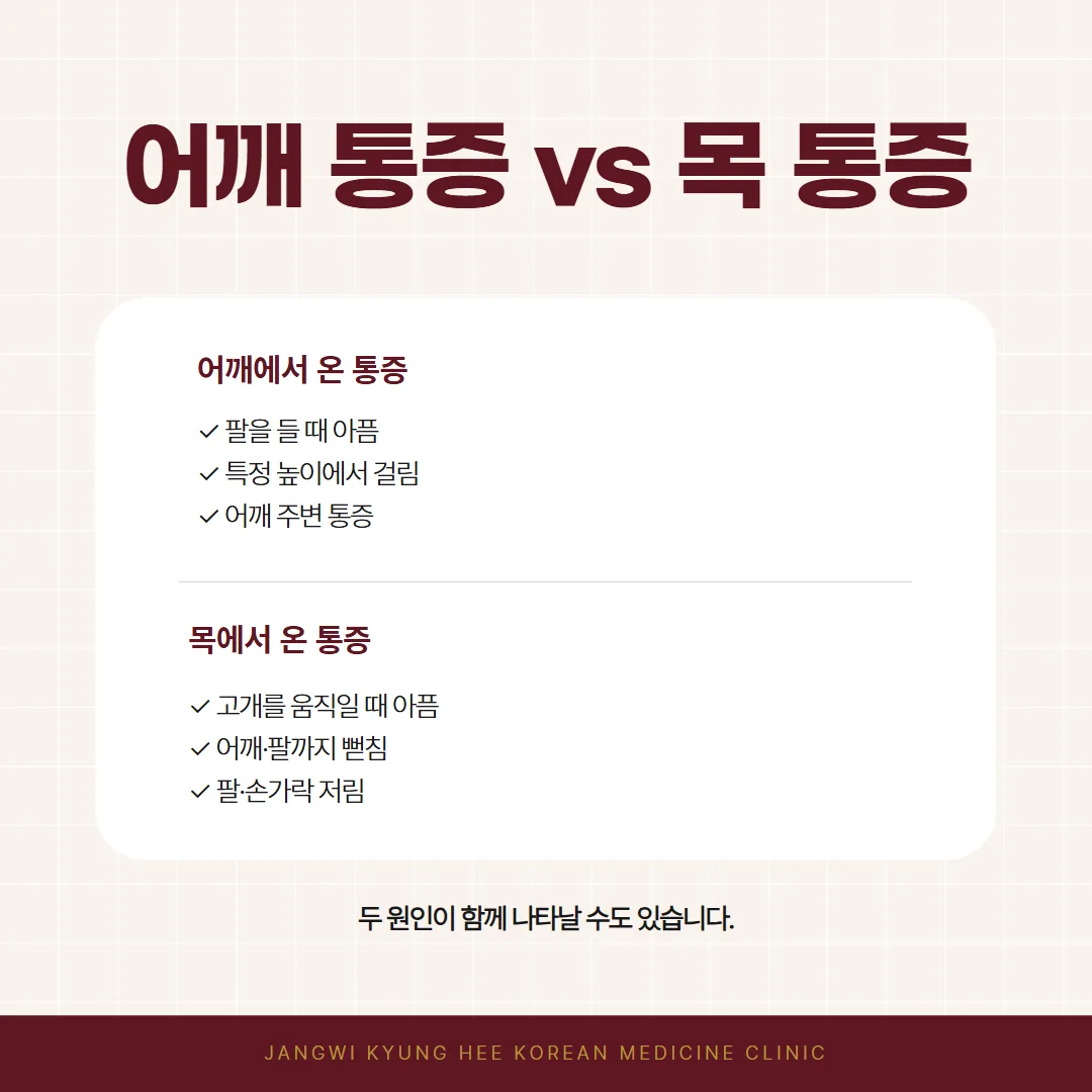 교통사고 어깨 통증 어깨에서 온 통증과 목에서 온 통증 구분 그림